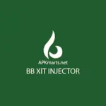 BB Xit injector